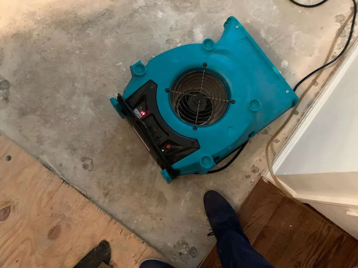 Air mover drying subfloor during Commercial Water Damage Restoration in Union Mill
